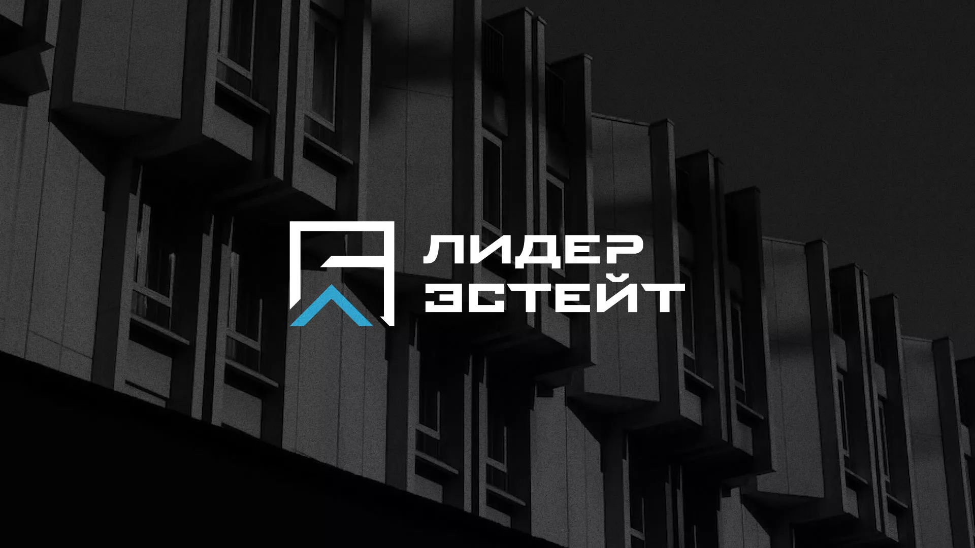 Разработка логотипа агентства недвижимости «Лидер Эстейт» в Зуевке